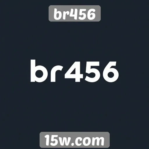 Entrevista com desenvolvedores do site br456